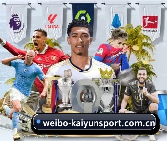 weibo-kaiyunsport.com.cn APP