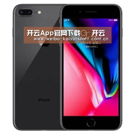 Apple iPhone 8 Plus (A1899) 64GB 深空灰色 移动联通4G手机
